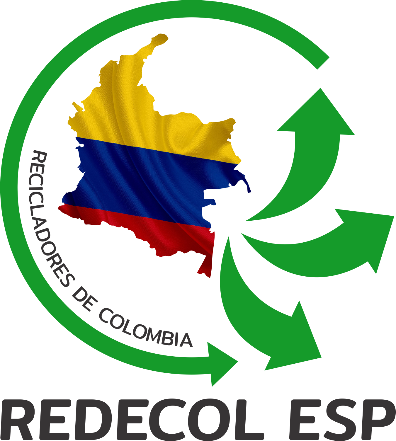 Logo REDECOL